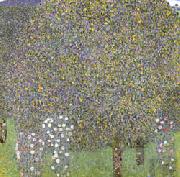 Rose Bushes Under the Trees Gustav Klimt